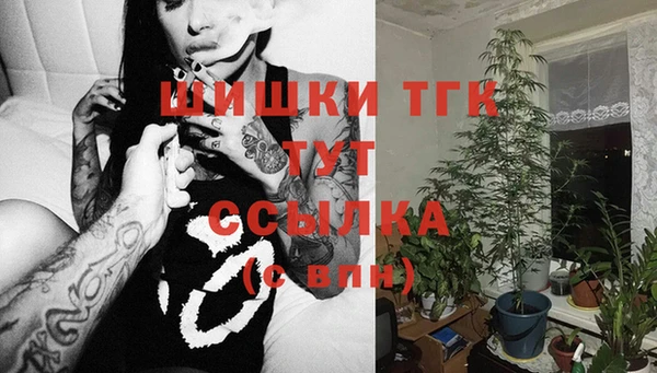 гидра Верея