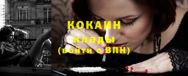 амф Верхний Тагил