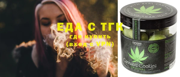 амф Верхний Тагил