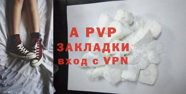 амф Верхний Тагил