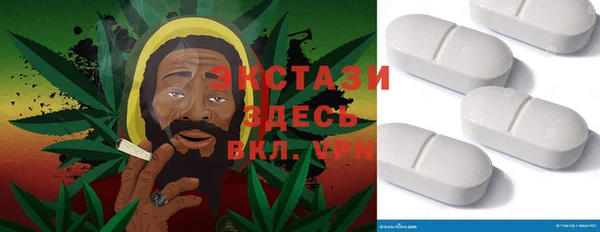 амф Верхний Тагил