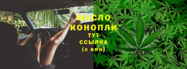 гидра Верея