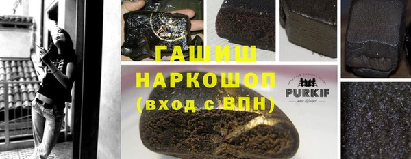 амф Верхний Тагил