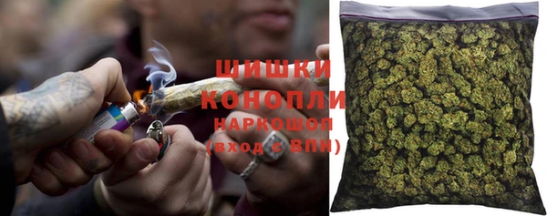 гидра Верея