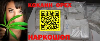мдпв Камышлов