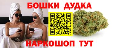 мдпв Камышлов