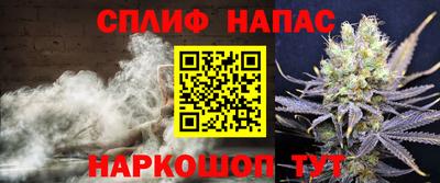 крисы Канаш