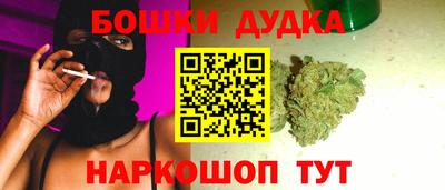 мдпв Камышлов