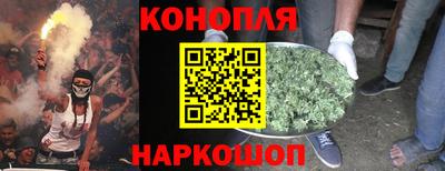 крисы Канаш