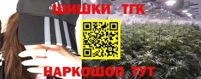 мдпв Камышлов