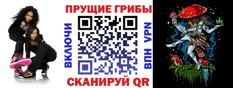 Псилоцибиновые грибы Psilocybine cubensis  Рузаевка 