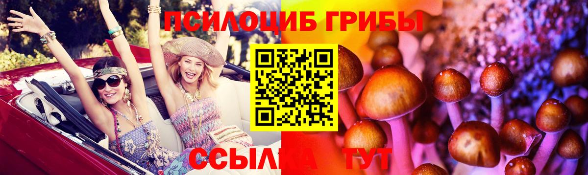 Псилоцибиновые грибы Cubensis Рузаевка